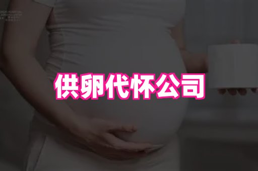 武汉助孕网 3