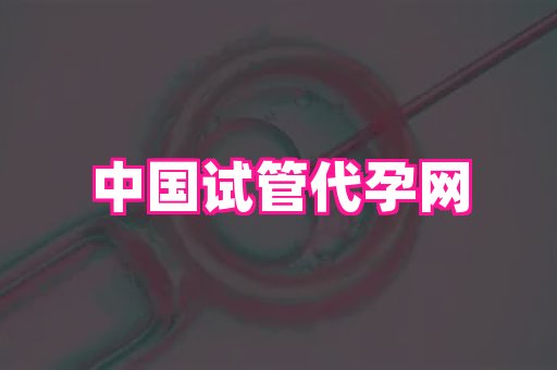 武汉助孕网 4
